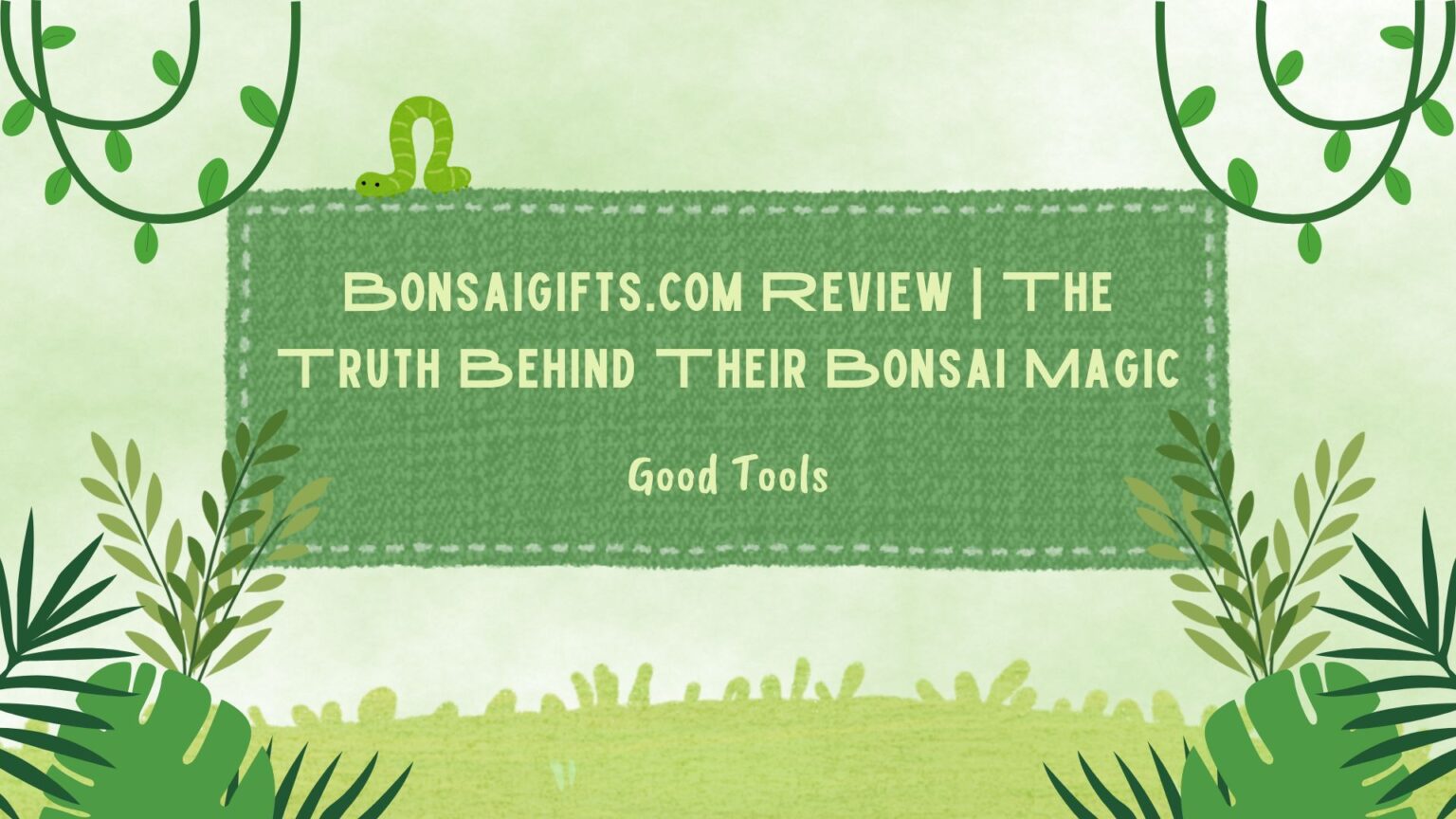 Bonsaigifts.com Review | The Truth Behind Their Bonsai Magic