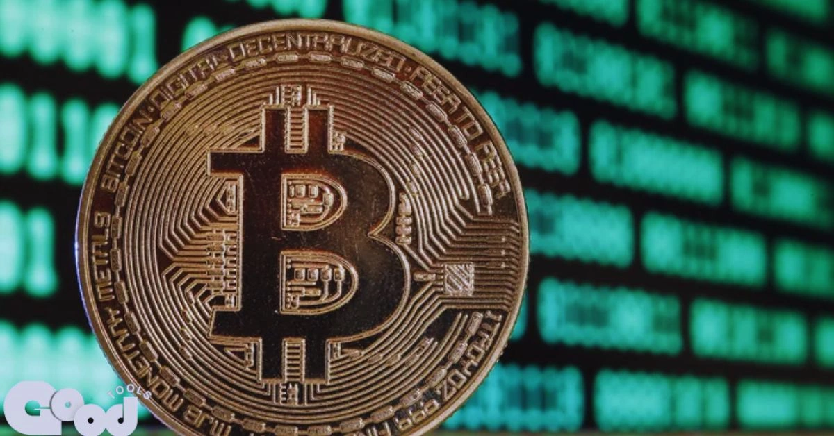 crypto30x.com catfish